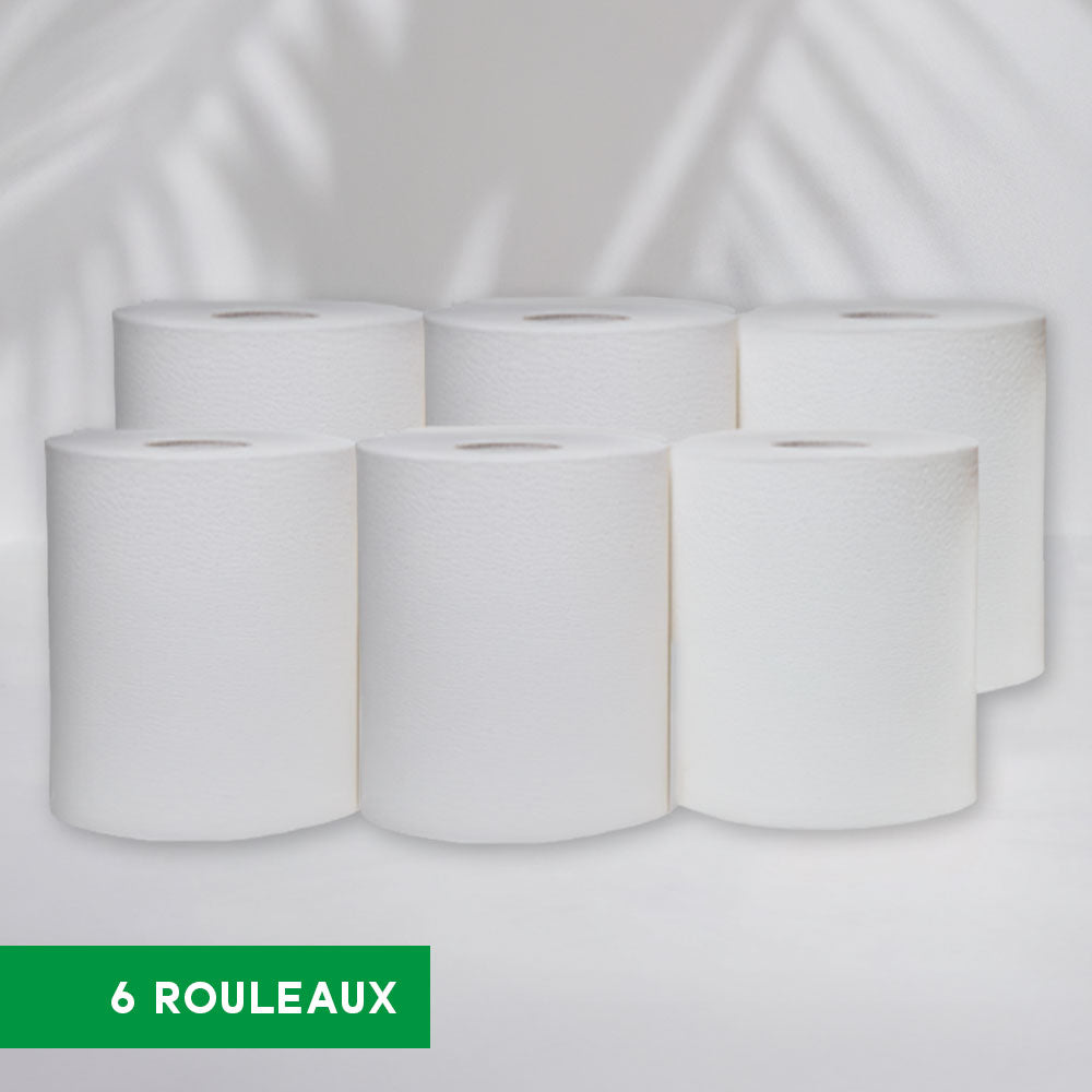 Bobines dévidage central - 19x24 cm - 2 plis - 450 Formats - Pure ouate - colis de 6 rouleaux