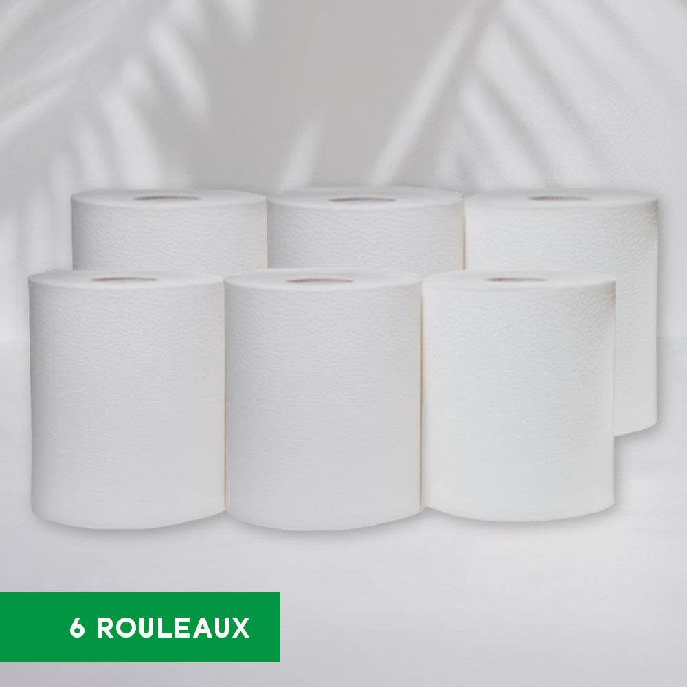 Bobines dévidage central - 19x30 cm - 2 plis - 450 Formats - Pure ouate - colis de 6 rouleaux