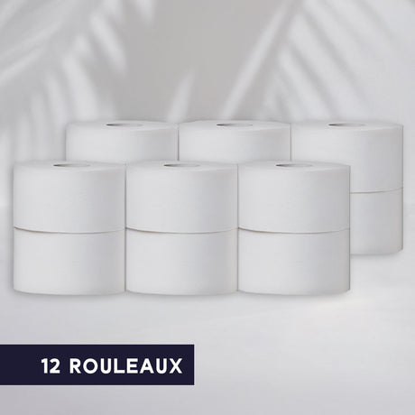 2-ply Maxi Jumbo toilet paper - 350 m - Pure wadding - package of 6 rolls